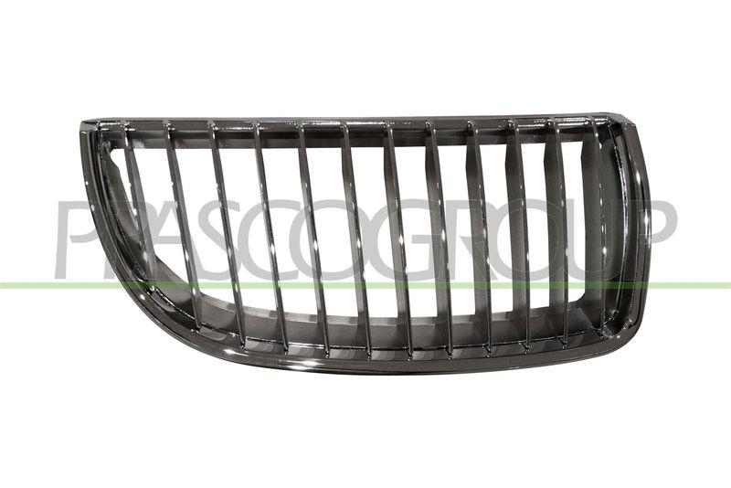 Radiator Grille Premium