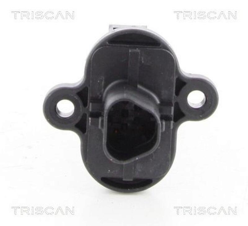TRISCAN Air Mass Sensor