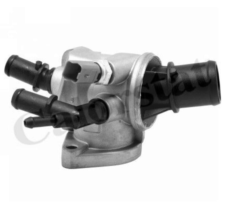 CALORSTAT by Vernet Thermostat, coolant