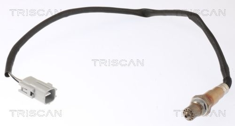 TRISCAN Lambdasonde