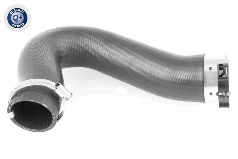 VAICO Charger Air Hose Q+, original equipment manufacturer quality