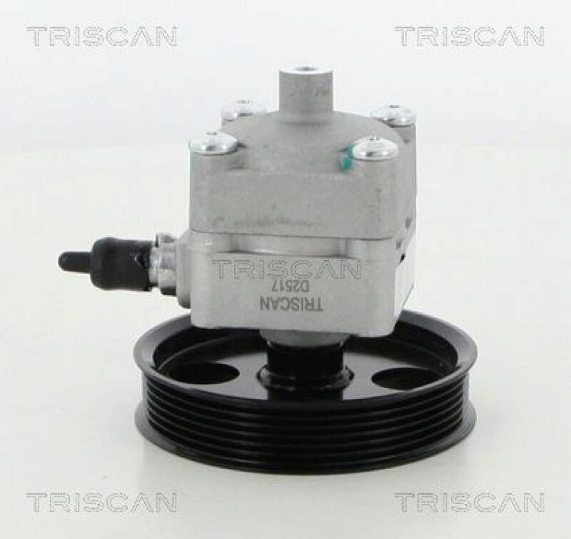 TRISCAN Hydraulic Pump, steering system