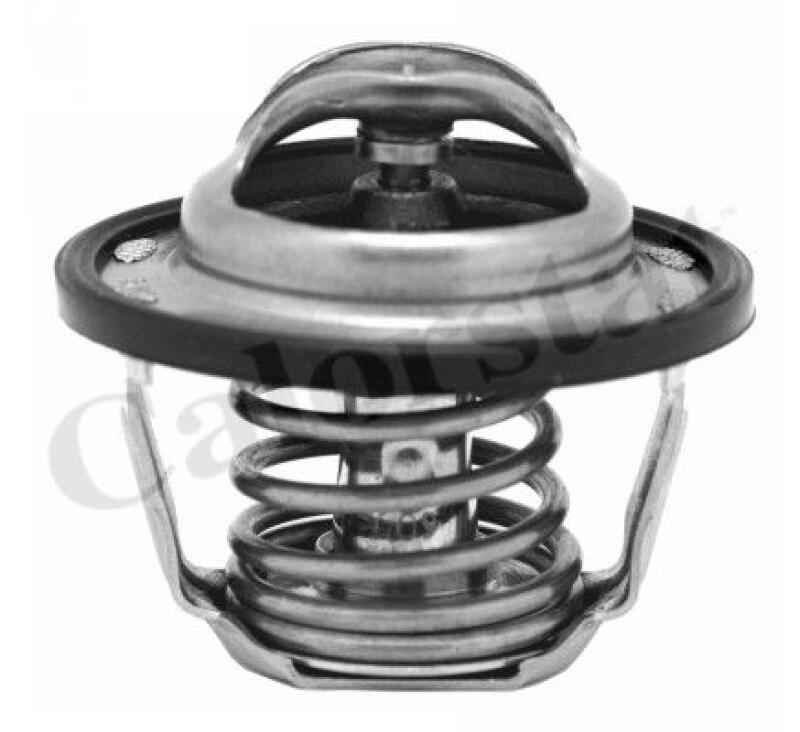 CALORSTAT by Vernet Thermostat, coolant
