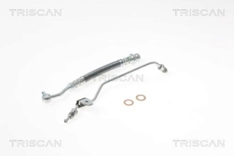 TRISCAN Brake Hose