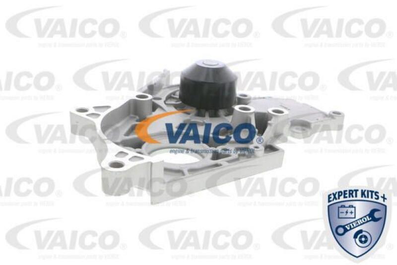 VAICO Wasserpumpe EXPERT KITS +