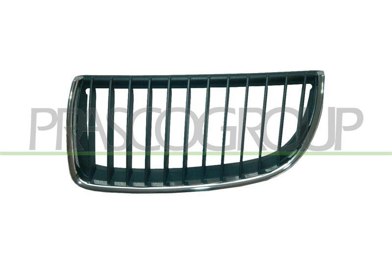 Radiator Grille