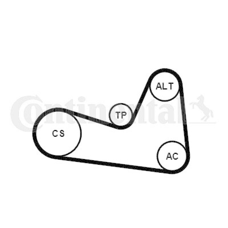 CONTINENTAL CTAM Keilrippenriemensatz