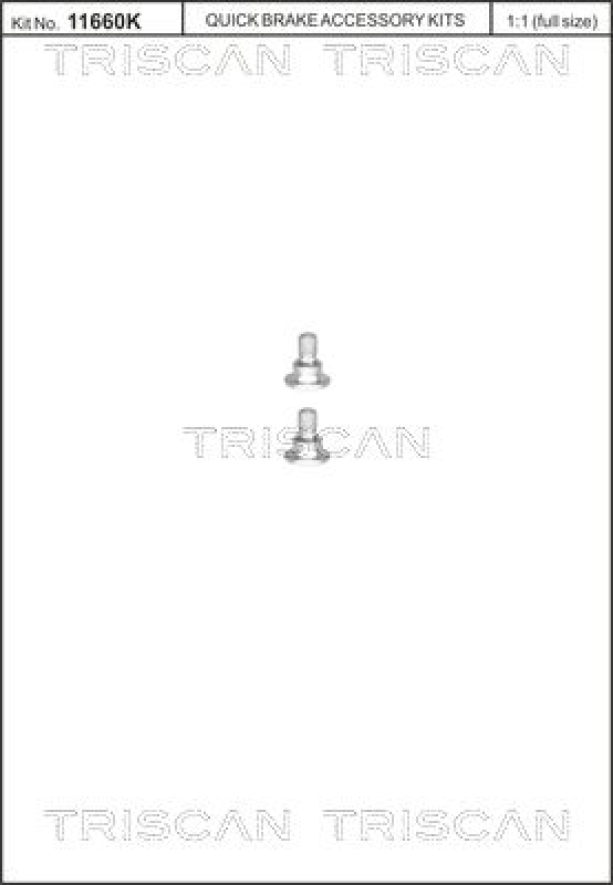 TRISCAN Bolt, brake disc