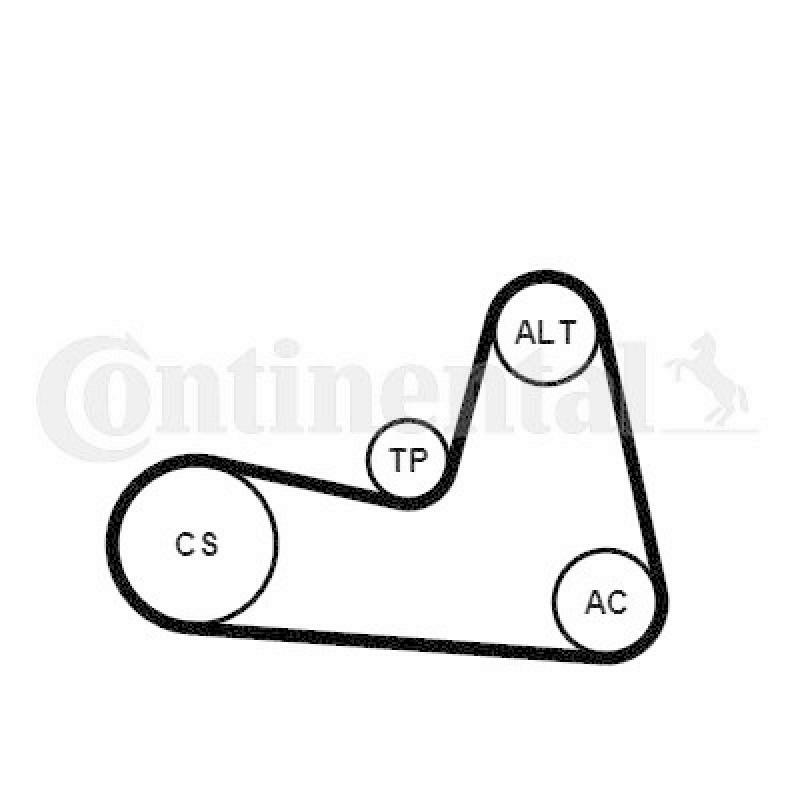 CONTINENTAL CTAM Keilrippenriemensatz