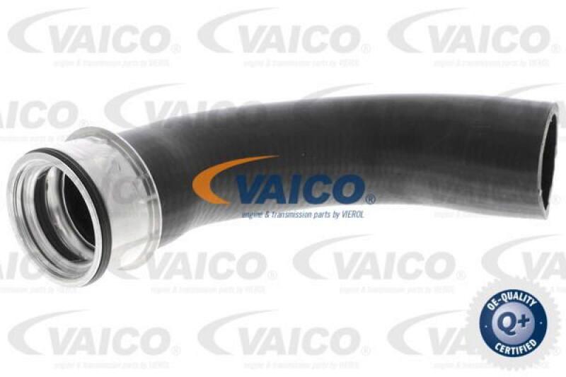 VAICO Charger Air Hose Q+, original equipment manufacturer quality