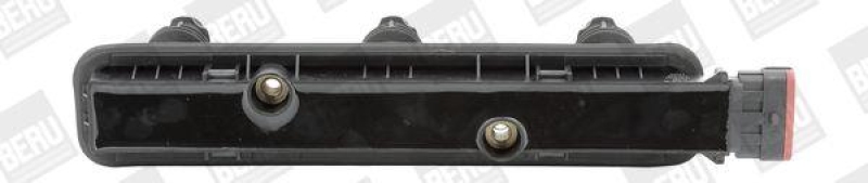 BorgWarner (BERU) Ignition Coil