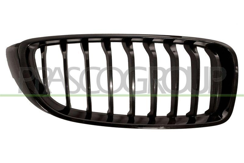 Radiator Grille