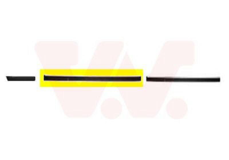 VAN WEZEL Trim/Protective Strip, door