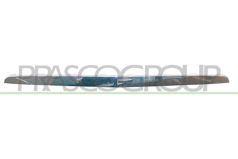 Trim/Protective Strip, radiator grille