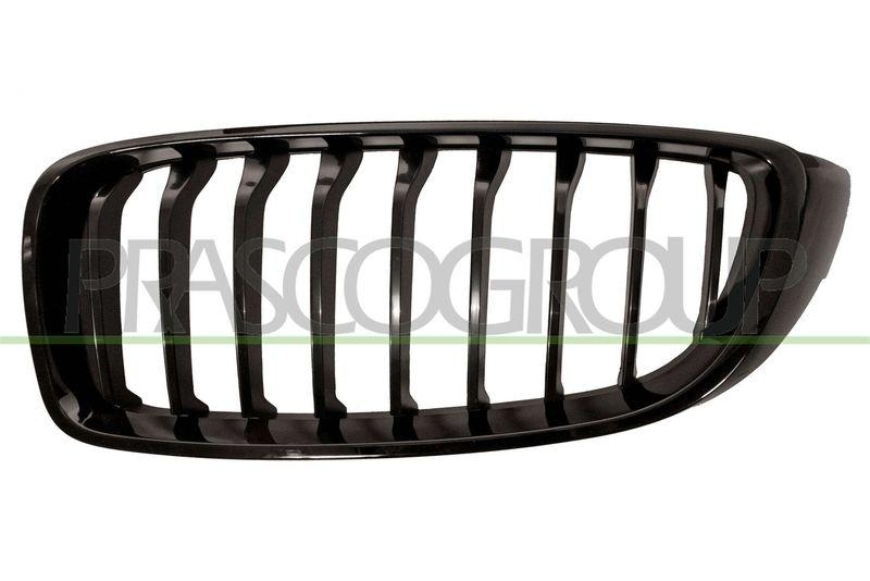 Radiator Grille