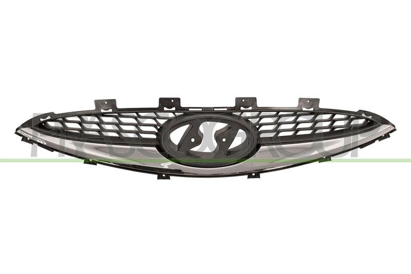 Radiator Grille