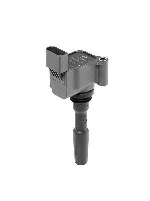 BorgWarner (BERU) Ignition Coil