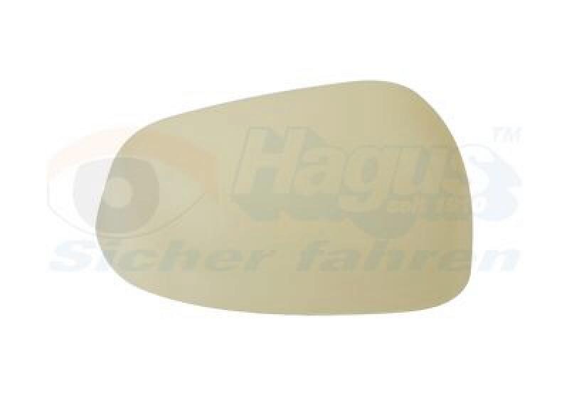 VAN WEZEL Cover, outside mirror * HAGUS *