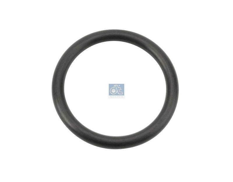 DT Spare Parts Dichtring
