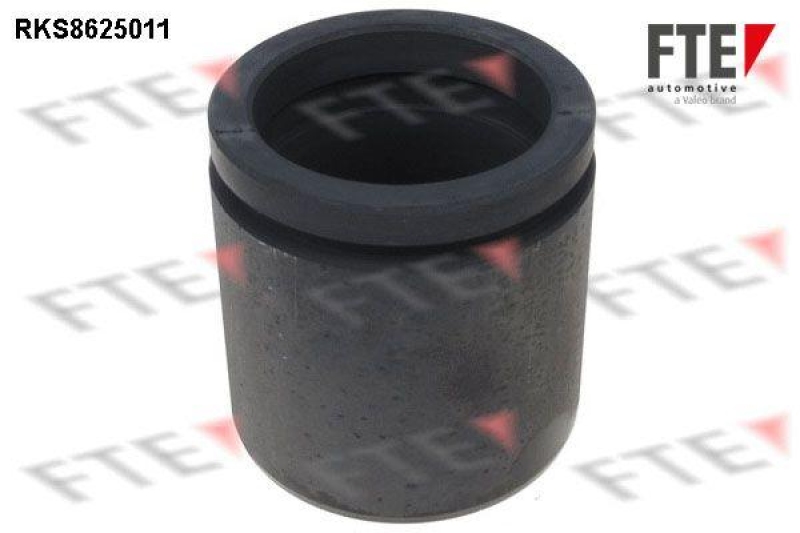 FTE Piston, brake caliper