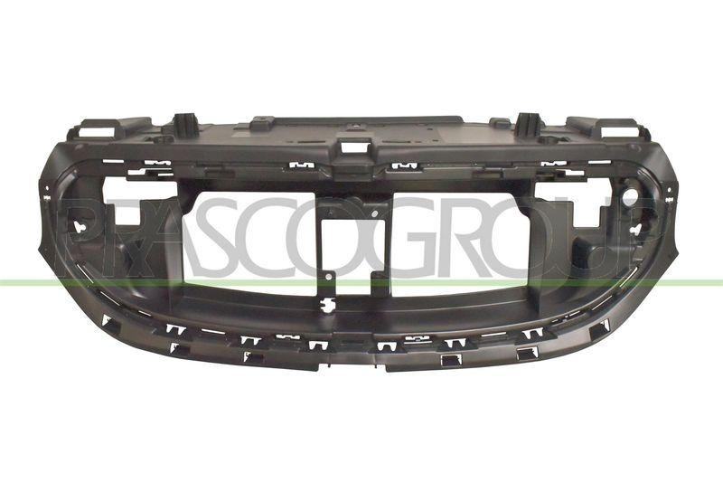 PRASCO Holder, radiator grille