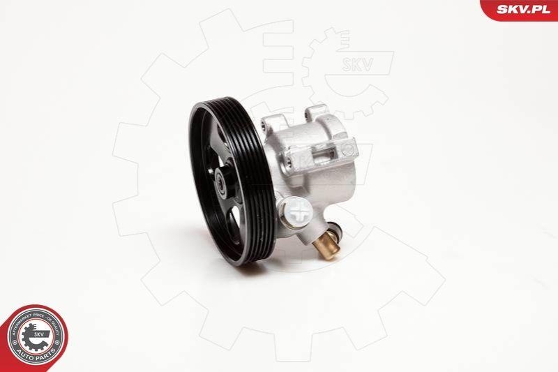 ESEN SKV Hydraulikpumpe, Lenkung