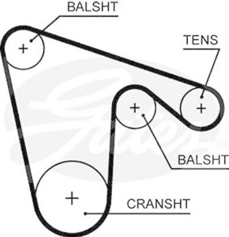 TRISCAN Timing Belt