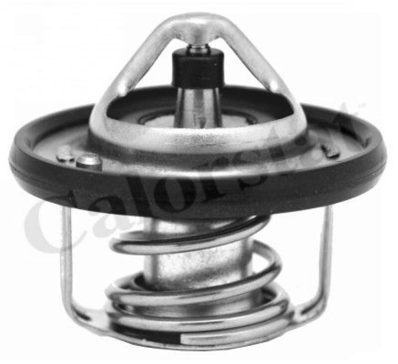 CALORSTAT by Vernet Thermostat, coolant