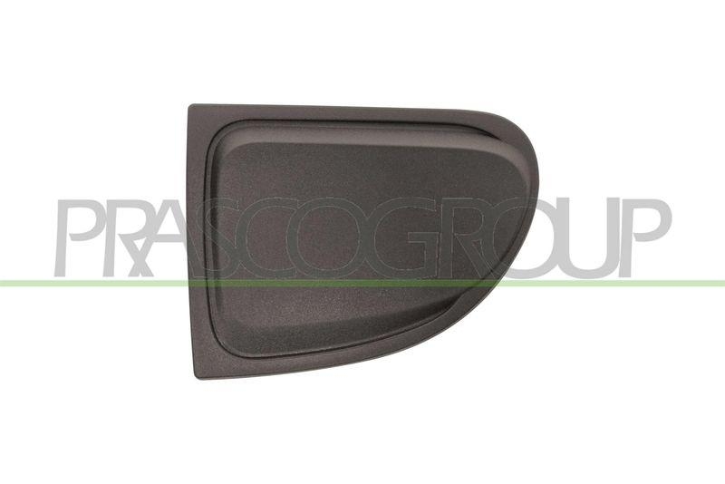 Trim/Protective Strip, radiator grille