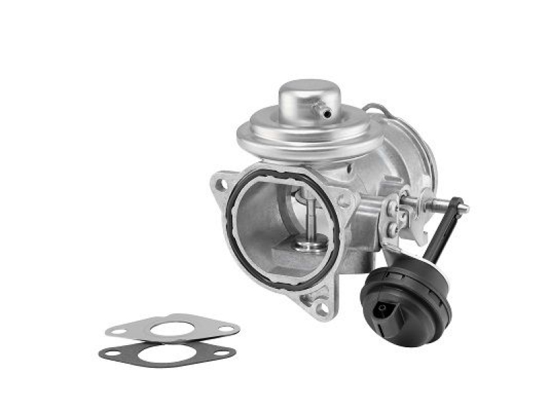 BorgWarner (Wahler) AGR-Ventil