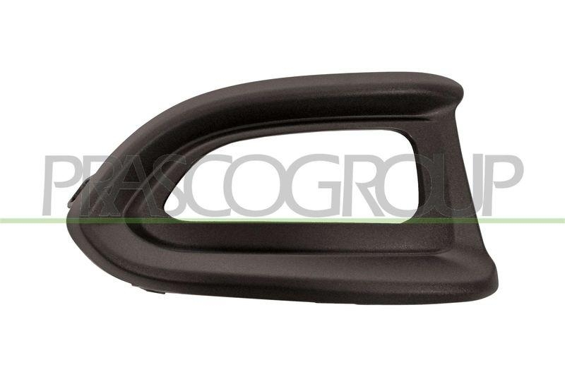Trim/Protective Strip, radiator grille