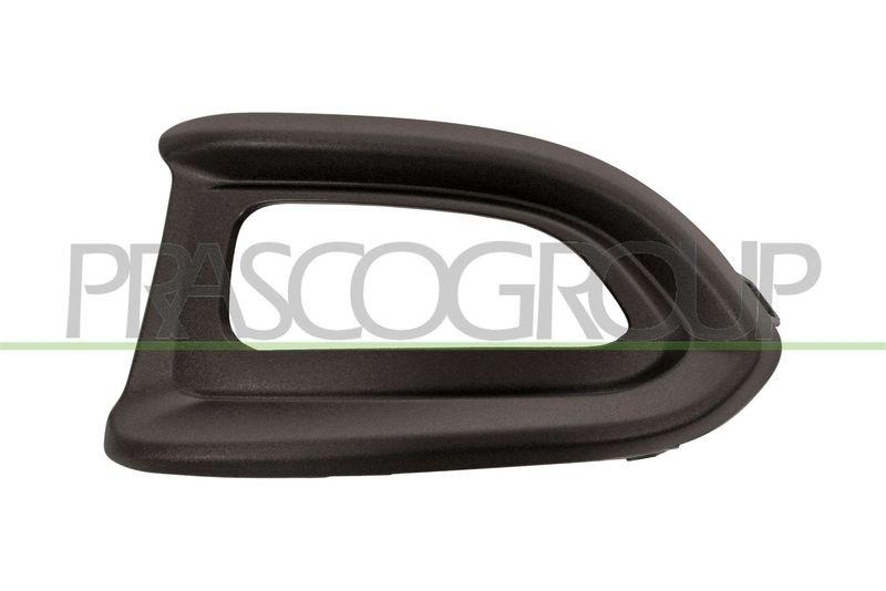 Trim/Protective Strip, radiator grille