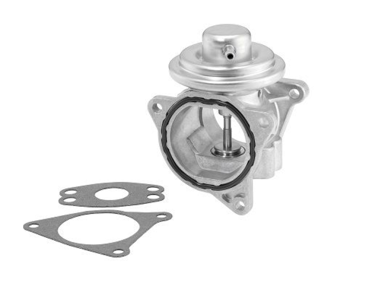 BorgWarner (Wahler) AGR-Ventil
