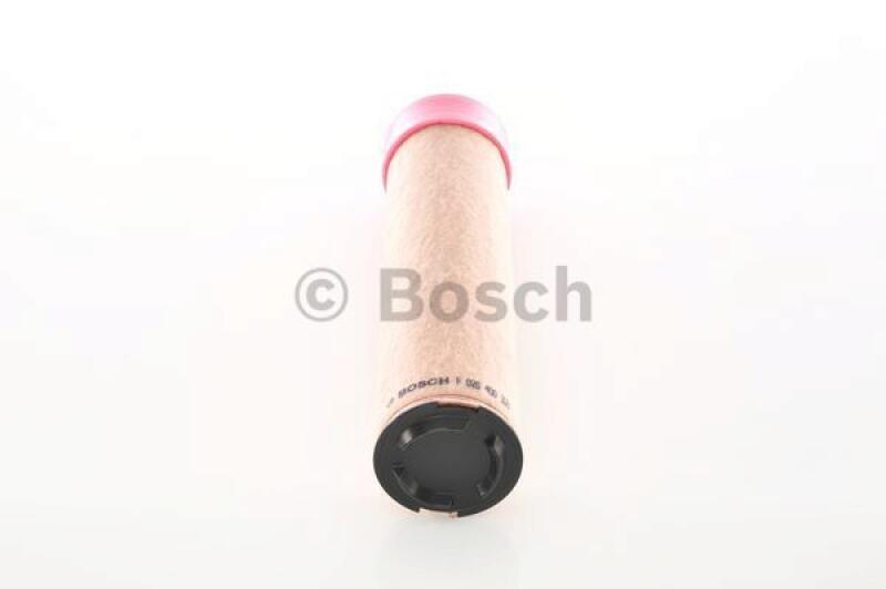 BOSCH Secondary Air Filter