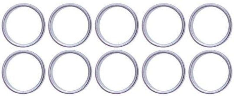 BGS Seal Ring Kit