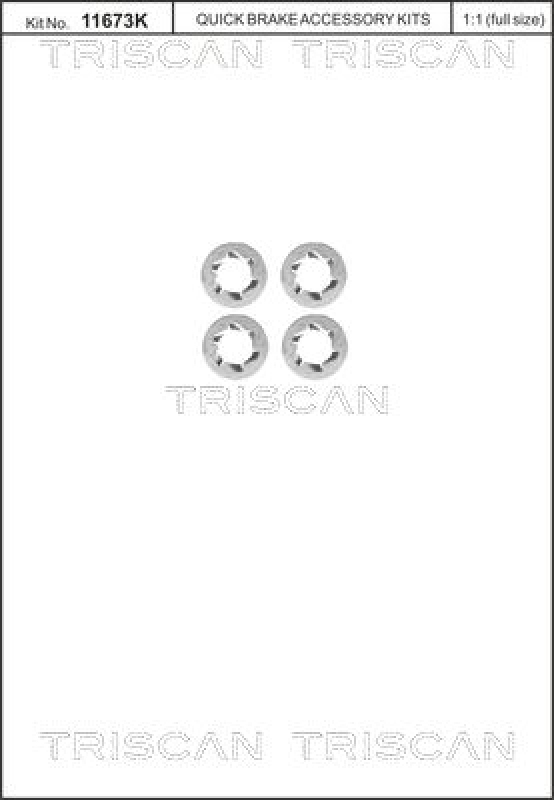 TRISCAN Bolt, brake disc