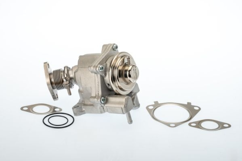 BorgWarner (Wahler) EGR Valve