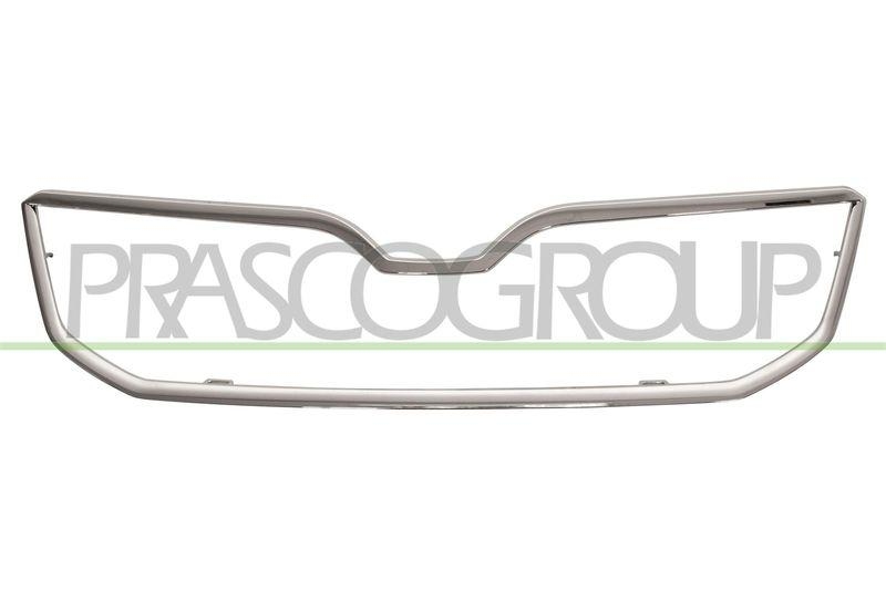 Trim/Protective Strip, radiator grille Premium