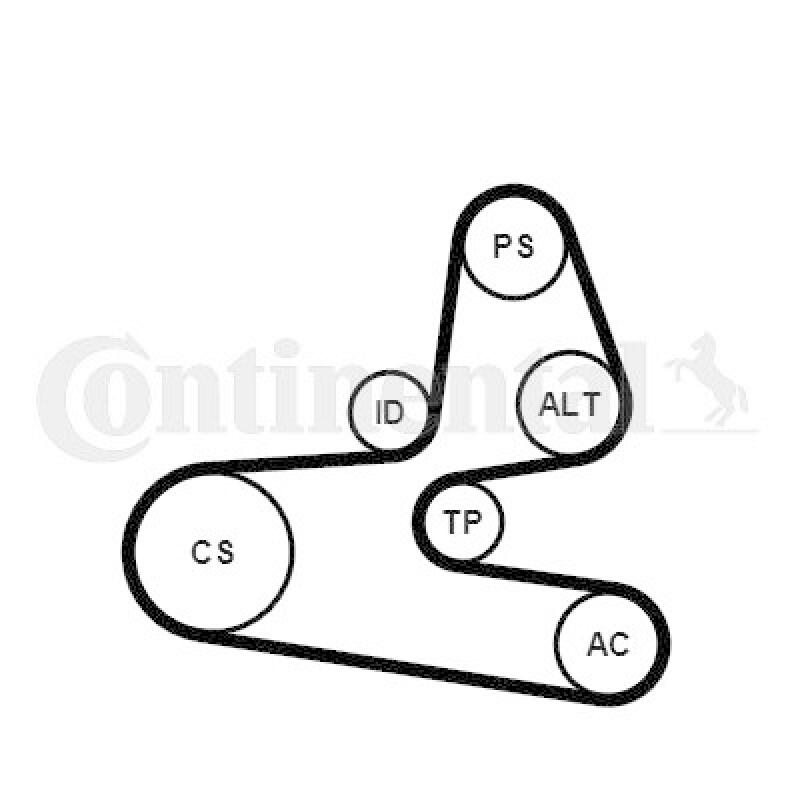 CONTINENTAL CTAM Keilrippenriemensatz