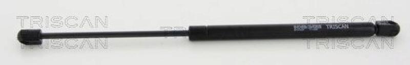 TRISCAN Gasfeder, Koffer-/Laderaum