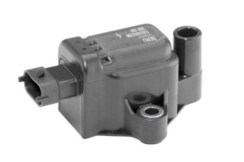 BorgWarner (BERU) Zündspule ZSE230