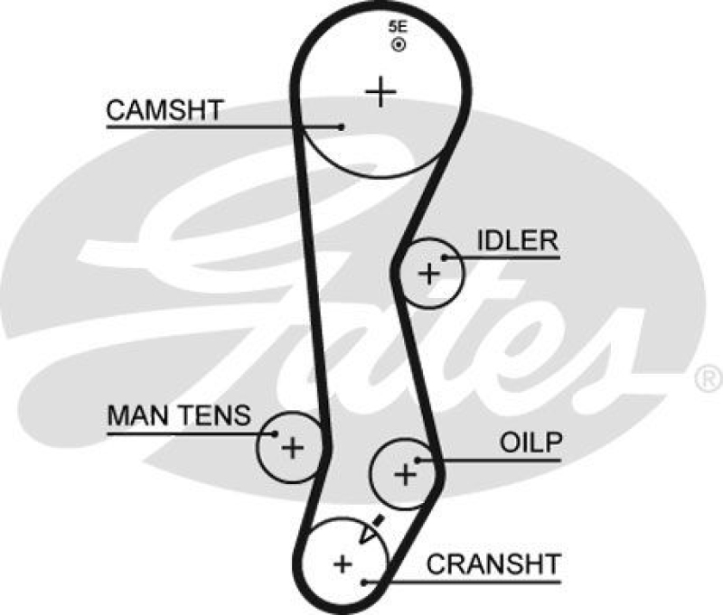 GATES Zahnriemen RPM™ Racing Timing Belt