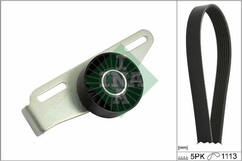 INA Keilrippenriemensatz 529044110