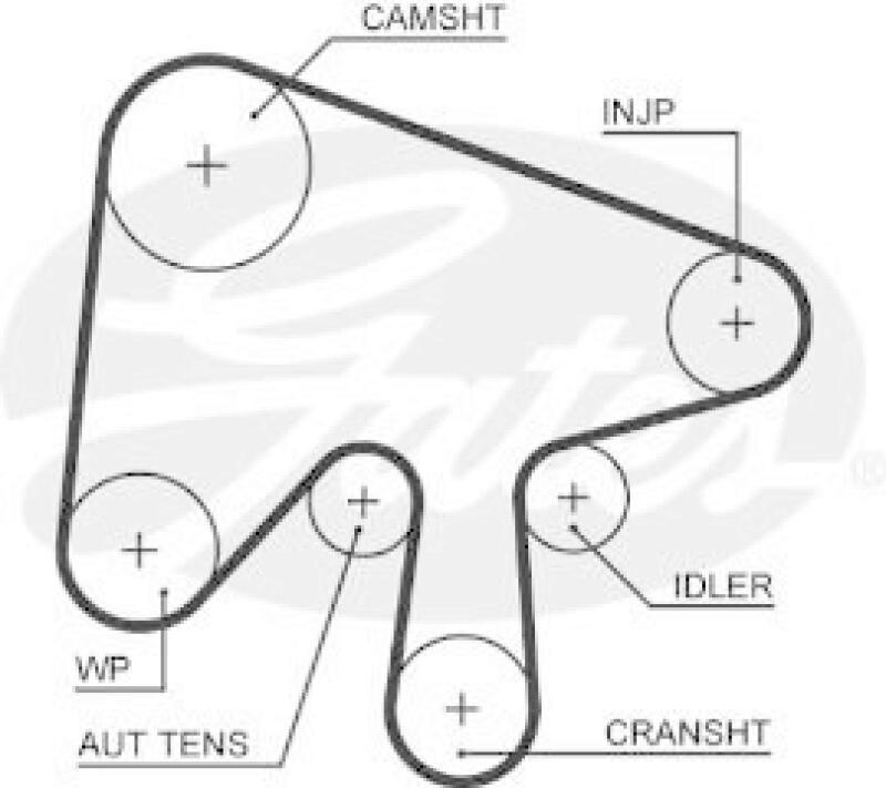 TRISCAN Timing Belt