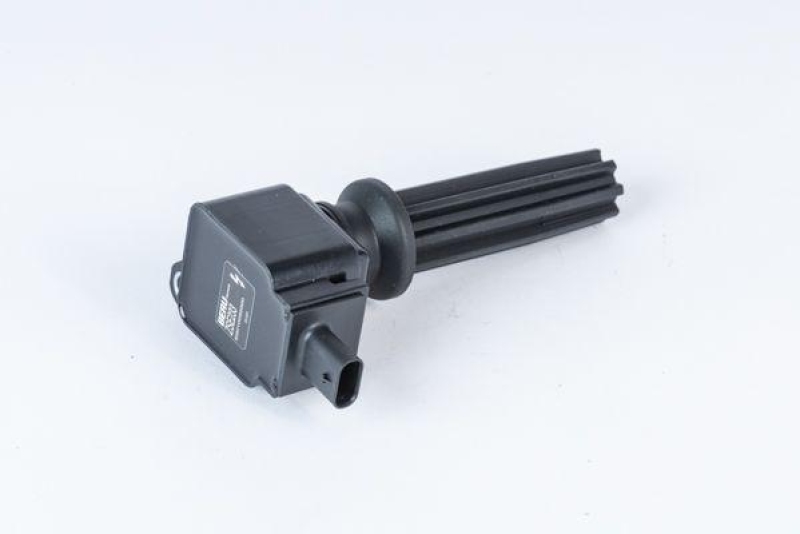 BorgWarner (BERU) Ignition Coil