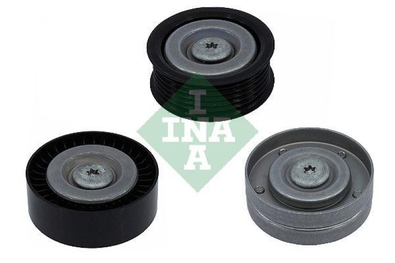INA Pulley Kit, V-ribbed belt