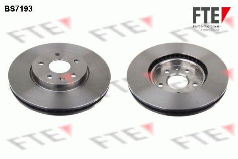 2x FTE Brake Disc