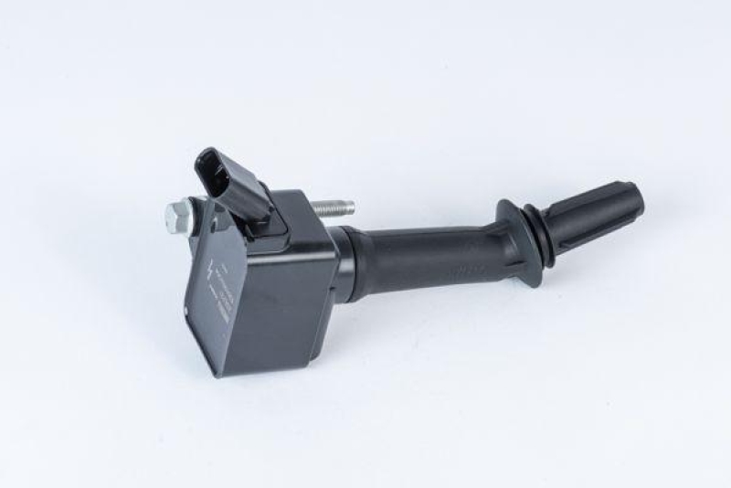 BorgWarner (BERU) Ignition Coil