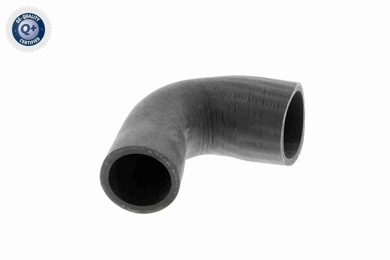 VAICO Charger Air Hose Original VAICO Quality