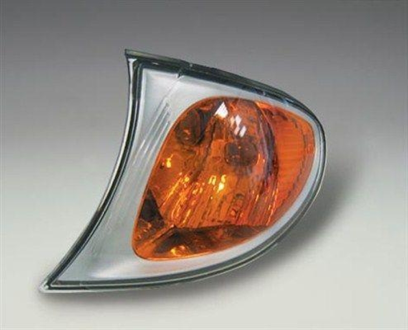MAGNETI MARELLI Blinkleuchte Blinker 715010723904